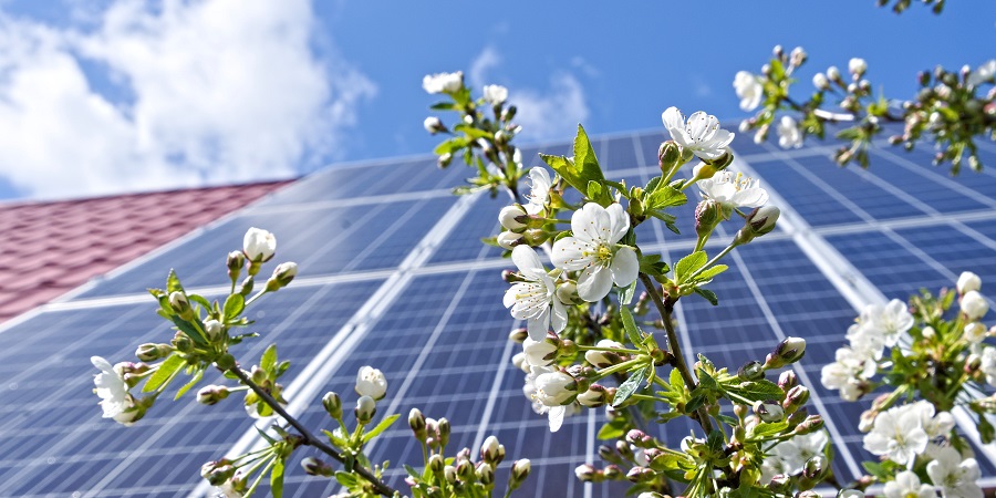 Solar panels in spring