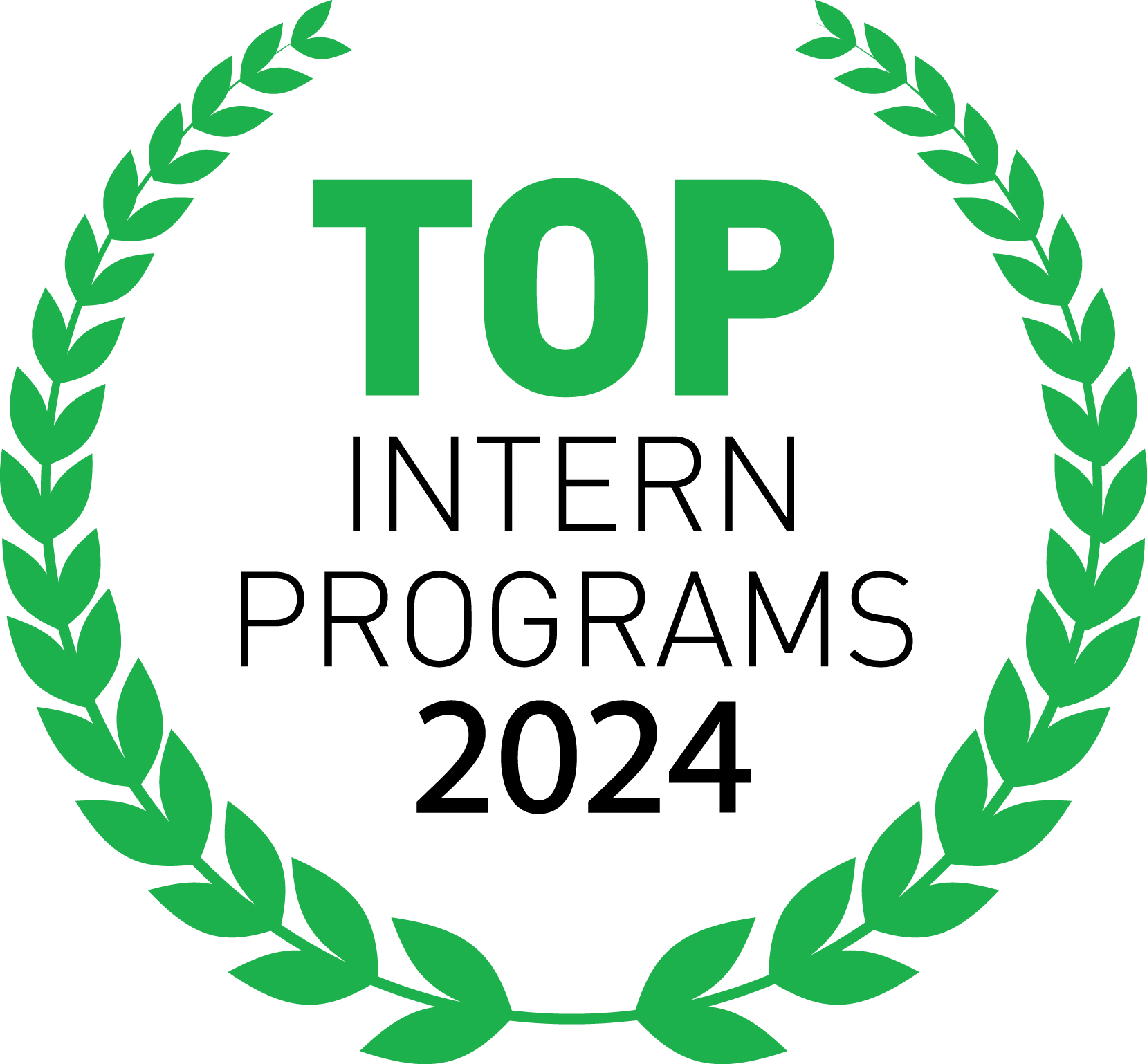 Top Intern Program 2024